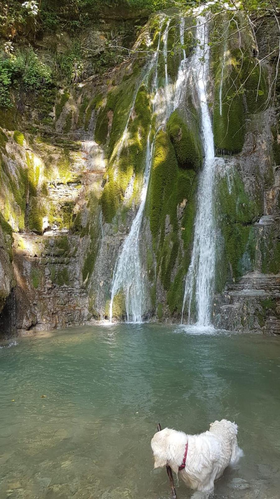 Alloggio Petrigh Canal di Grivo Kültér fotó